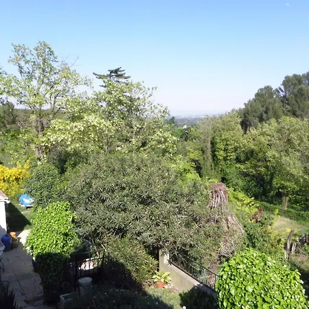 Les Bananiers Holiday home *